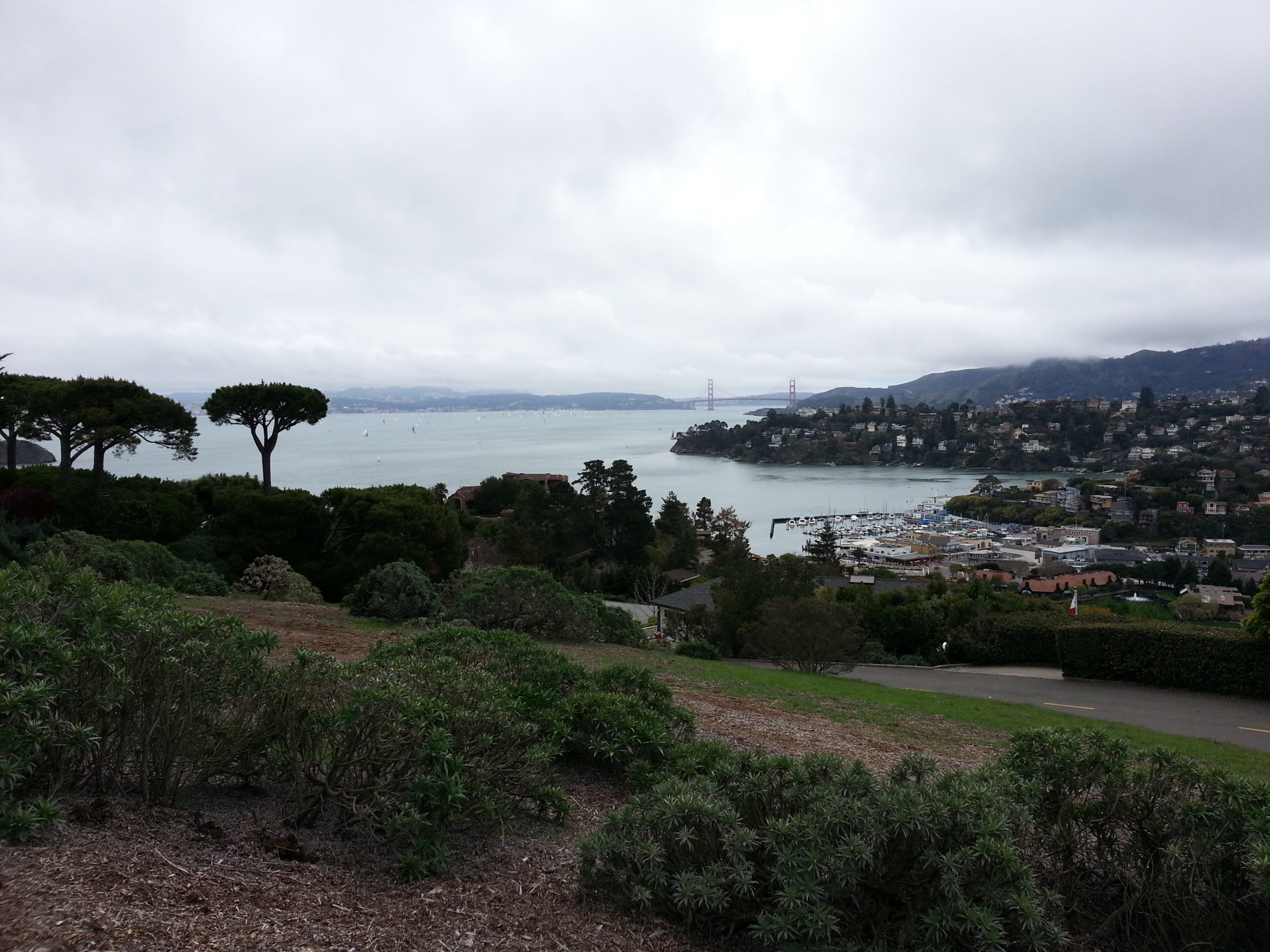 photo of a cloudy day over a bay, with fog spilling over a hill, homes on the hills, and a harbor on the bay. The Golden Gate Bridge is in the distance.