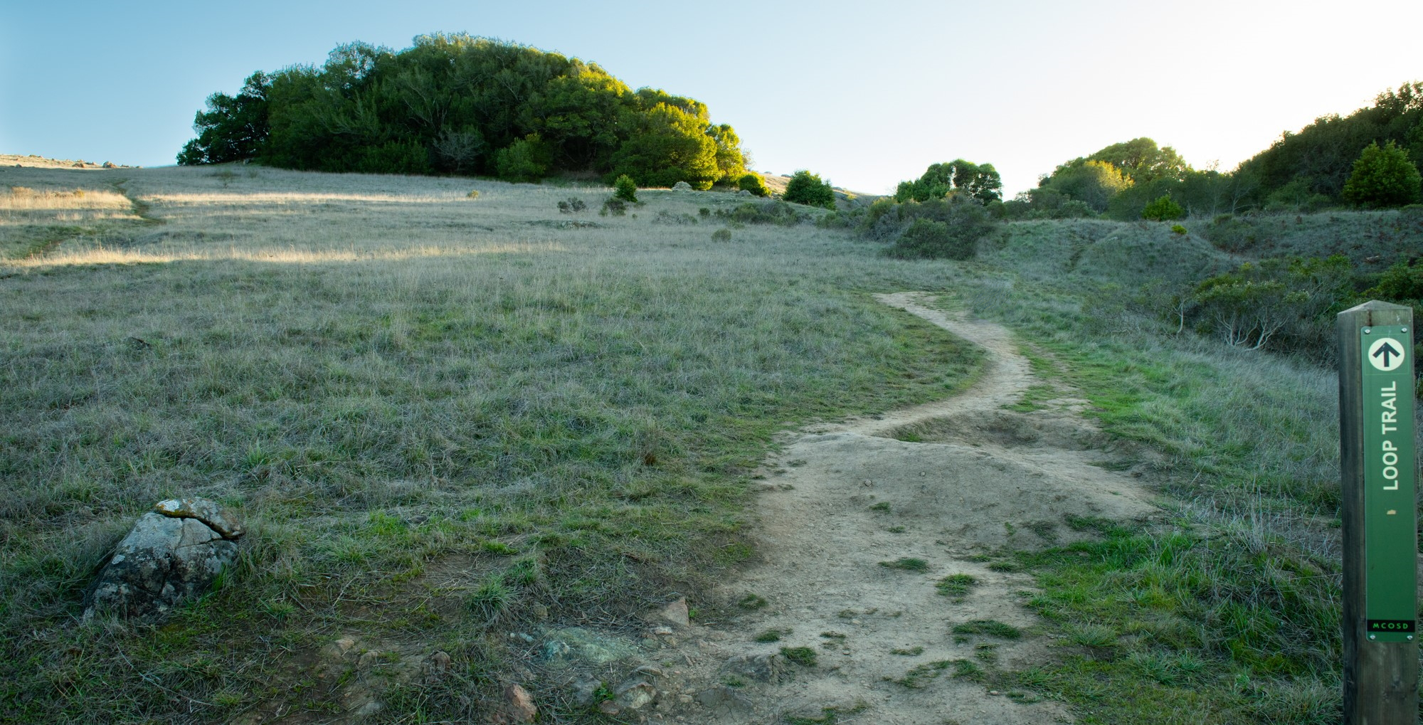 a trail winding up an incline with grasses and bushes, then trees along the hill's horizon